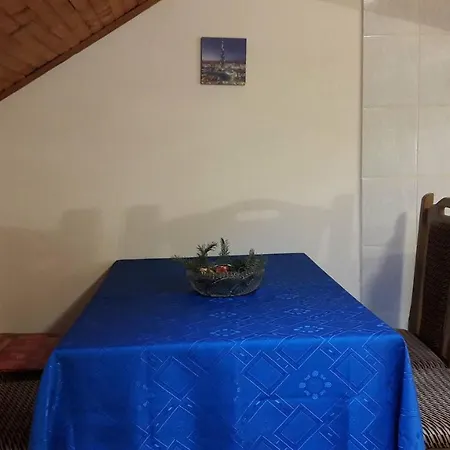 Sanja Soko Banja