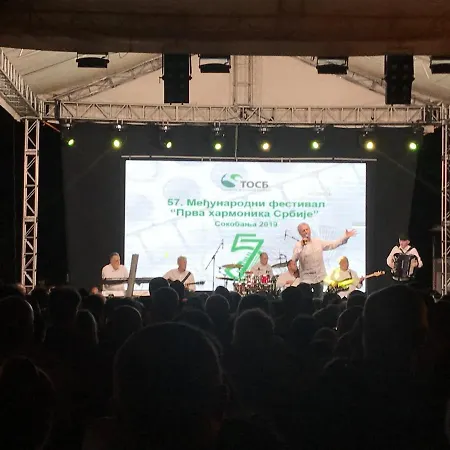 Sanja Soko Banja