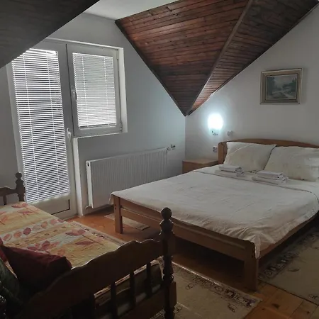 Sanja Apartment Soko Banja