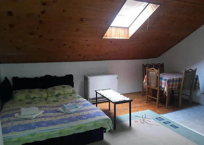 아파트 Sanja 소코 반자