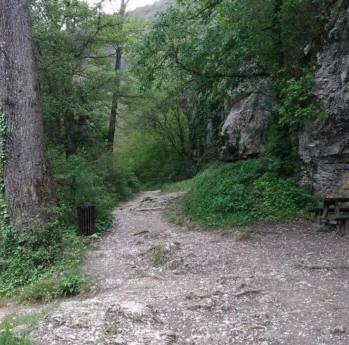 Sanja * 소코 반자