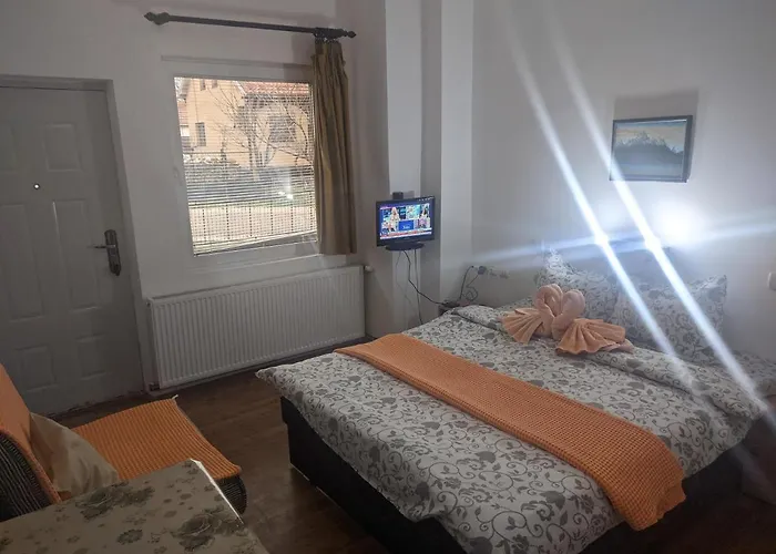 Sanja * 소코 반자