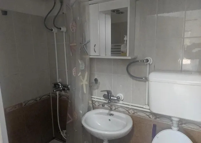 Sanja * 소코 반자